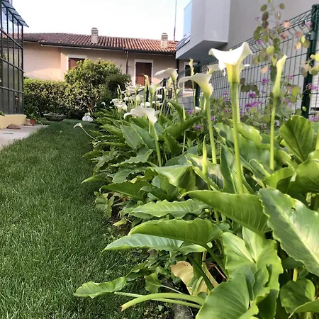 Apartamento Casa Sivori Sul Di Garda Con Ampio Giardino Desenzano del Garda