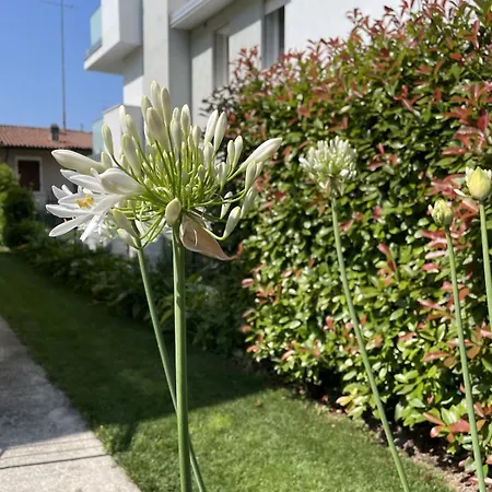 Casa Sivori Sul Di Garda Con Ampio Giardino