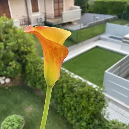 Casa Sivori Sul Di Garda Con Ampio Giardino Lägenhet